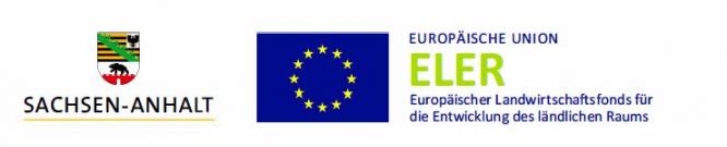 319_logo.jpg
