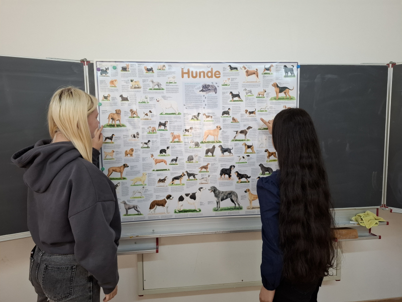 ag_hundefreunde2.jpg