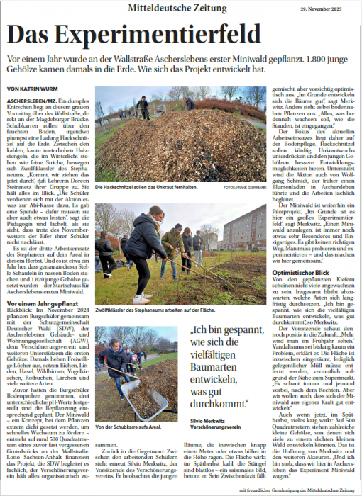 mz_artikel_29.11.2025_miniwald.png